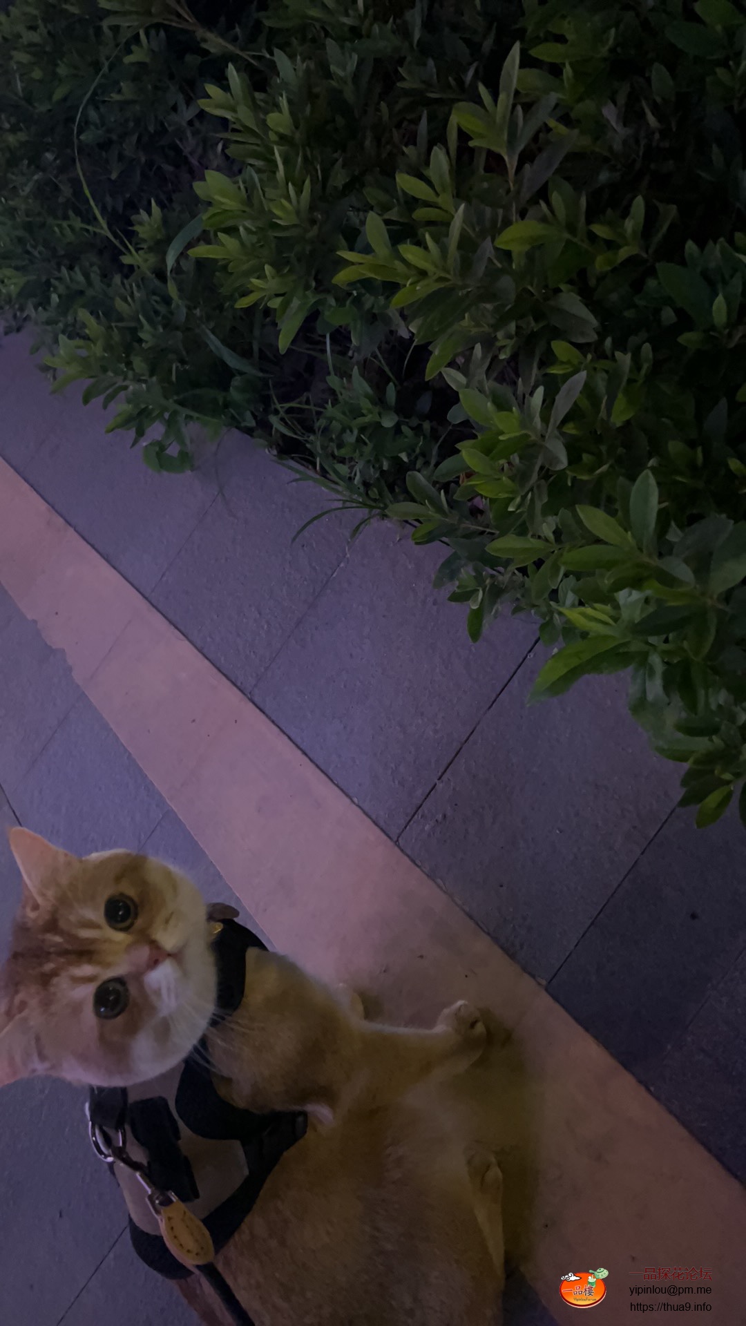 94582C32-B051-4ABA-8E5F-2A5144956555.jpeg