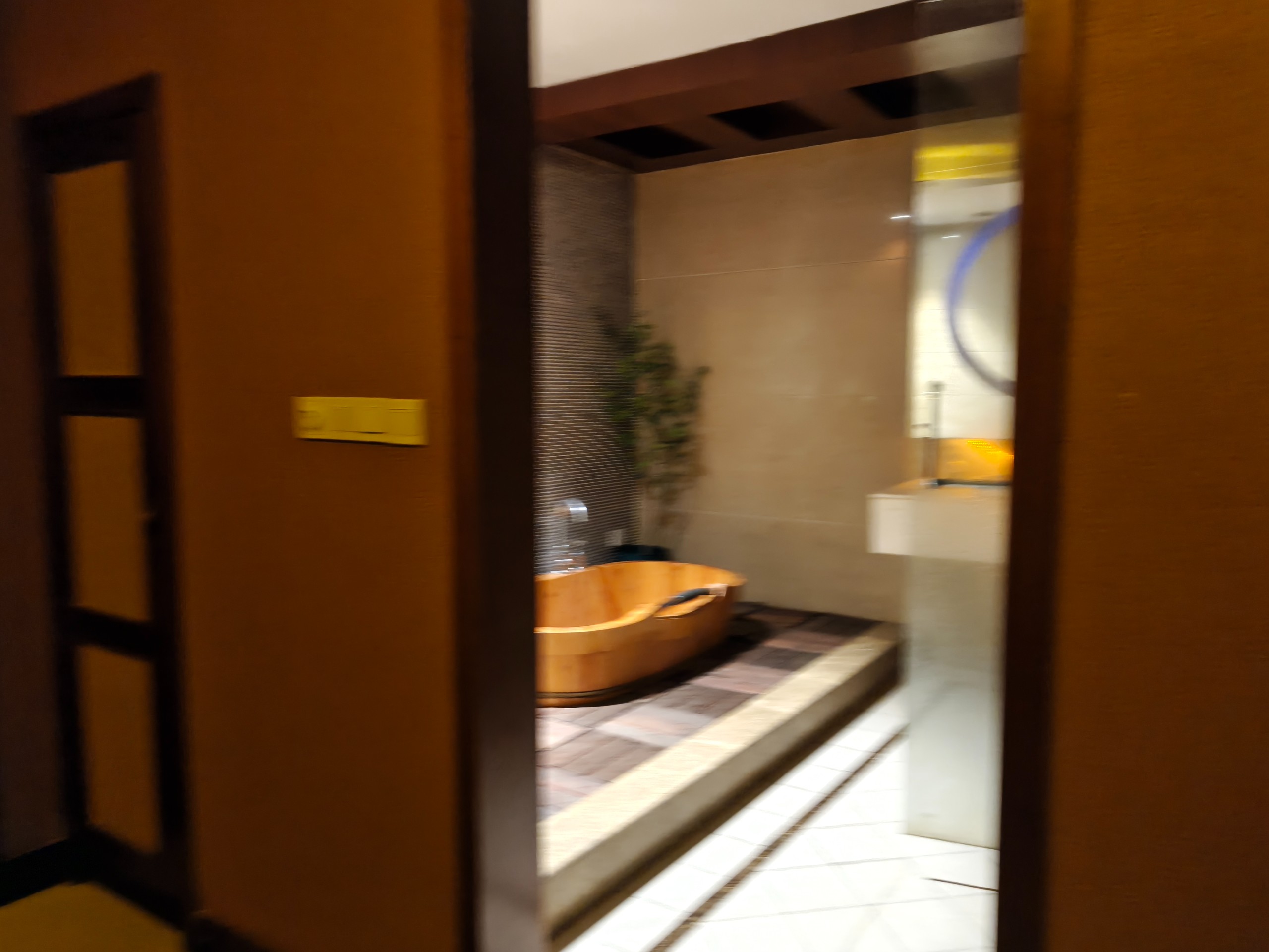 IMG20260504205412.jpg