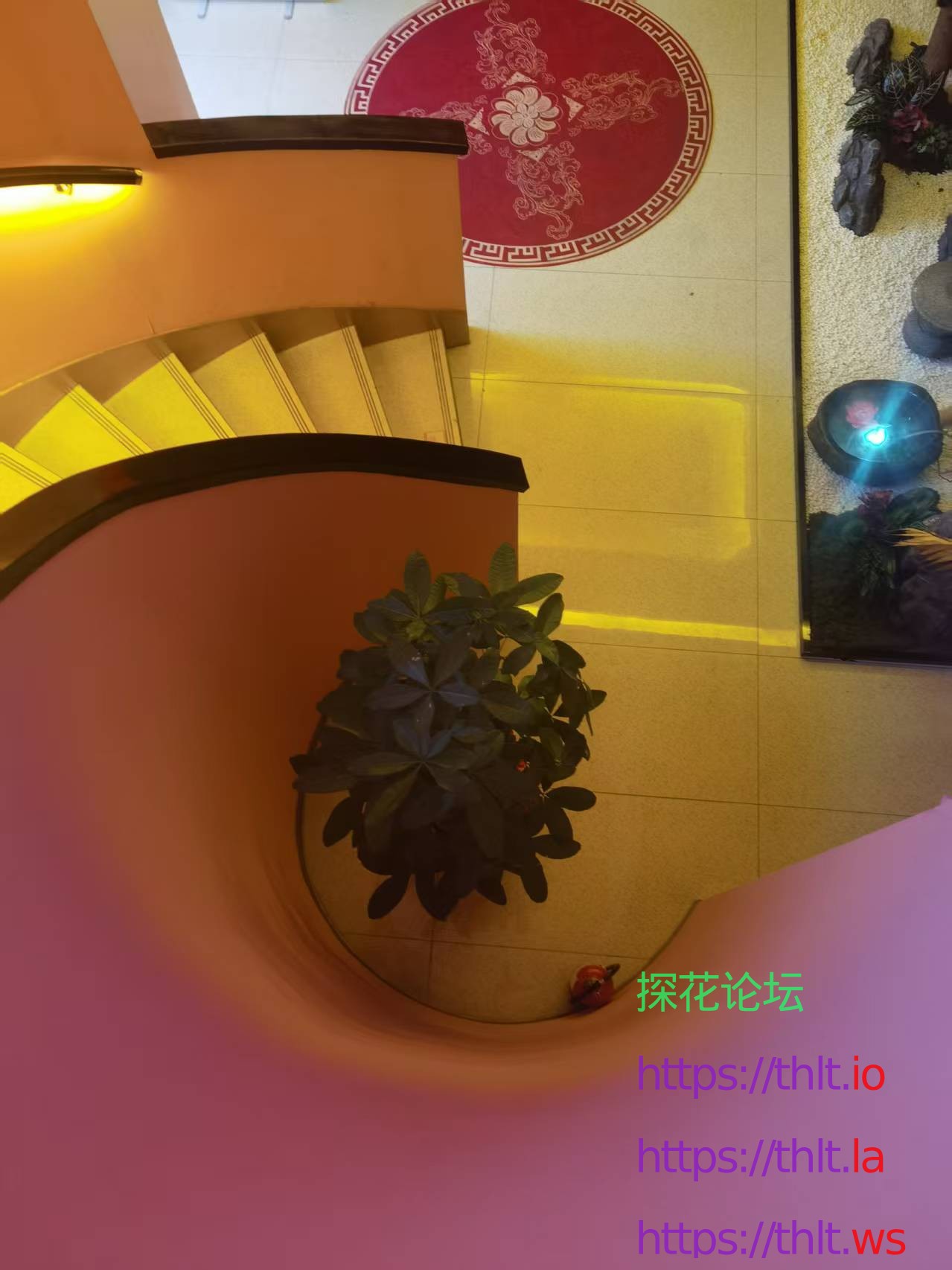 mmexport1778728747209.jpg