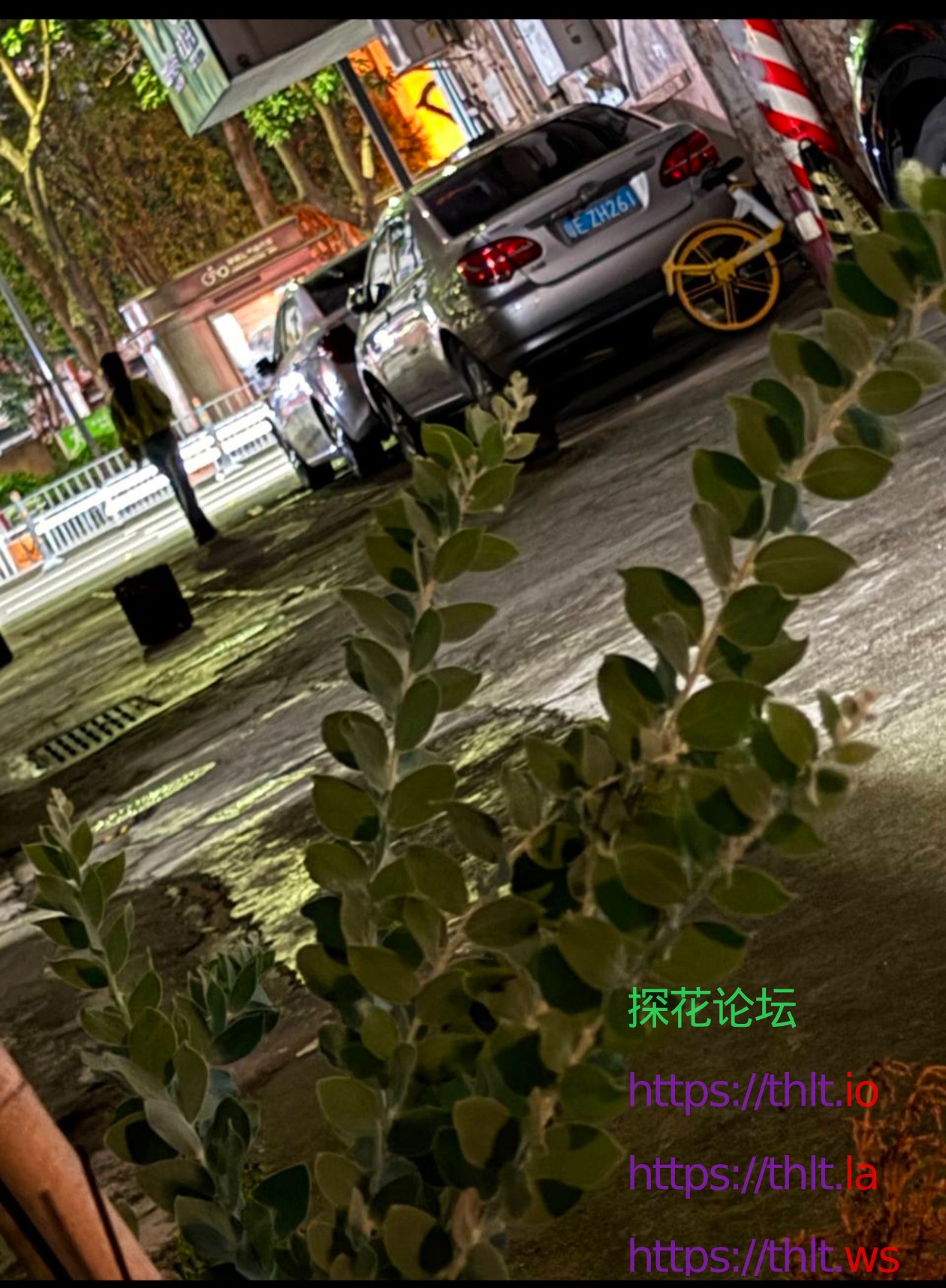 IMG_20260504_084528.jpg