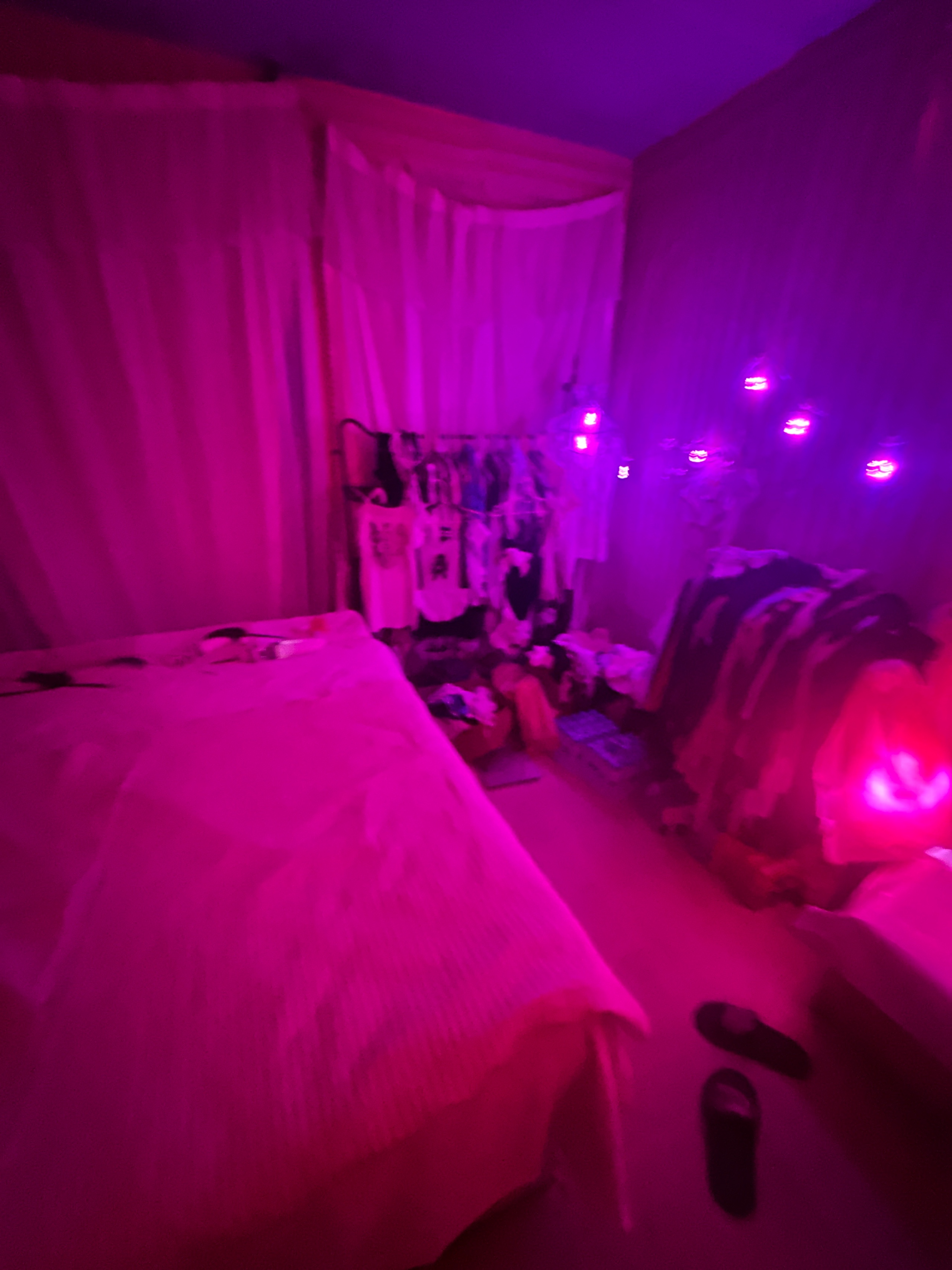 IMG_1559.jpeg